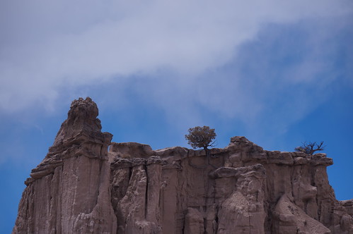 trees clouds sandstone cliffs improbabletrees