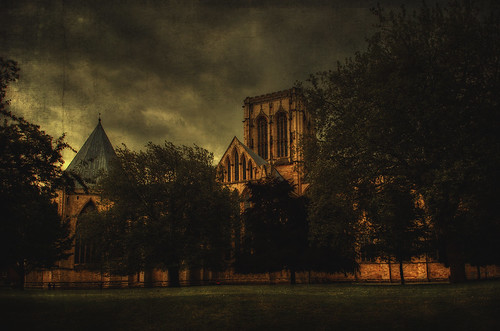 york trees sky landscape cathedral yorkshire gothic textures yorkminster canon5dmk2