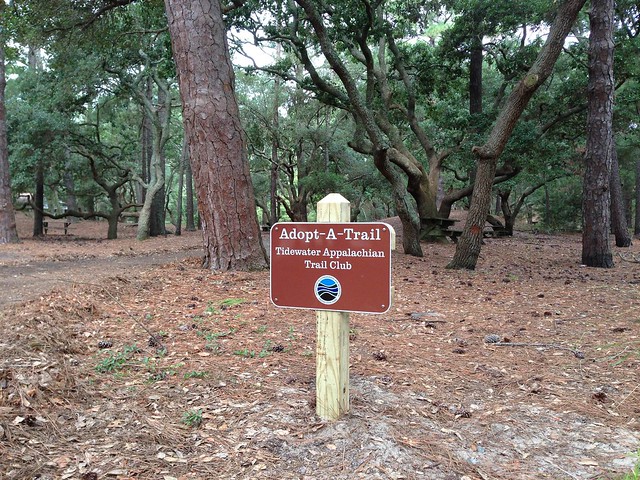 Your organization gets an Adopt-a-Trail sign at the trailhead.  This one is at First Landing State Park.