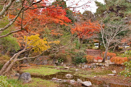 【写真】2012 紅葉 : 円山公園/2021-09-23/IMGP7994