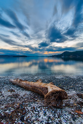 ocean wood travel blue sunset sea summer vacation sky canada beach nature water beautiful weather sunrise landscape outside island coast log colorful day view cloudy timber britishcolumbia background tide scenic dramatic peaceful wave overcast shore maritime trunk beached weathered wilderness tranquil hdr lumber galianoisland drift purity montagueharbourmarineprovincialpark