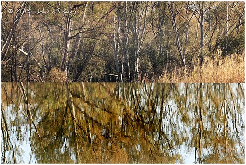 africa trees water reflections southafrica illusion split johannesburg slipway weir gauteng modderfonteinnaturereserve modderfonteinreserve copyrightjohnmckeen