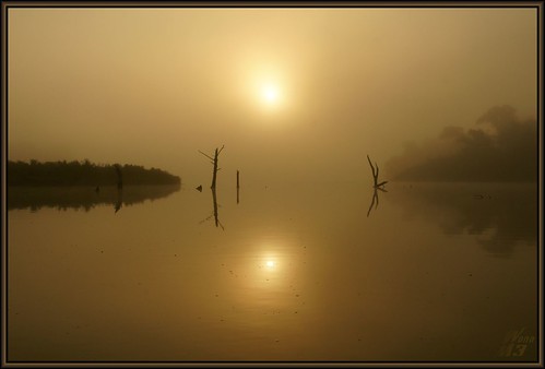 reflection fog sunrise golden texas bayou pasadena canoeing paddling bayareapark armandbayou wanam3