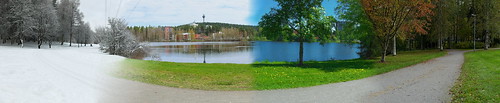 trees winter landscape summer autumn spring pond panorama kuopio finland fi