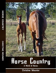 Christine Meunier's Horse Country