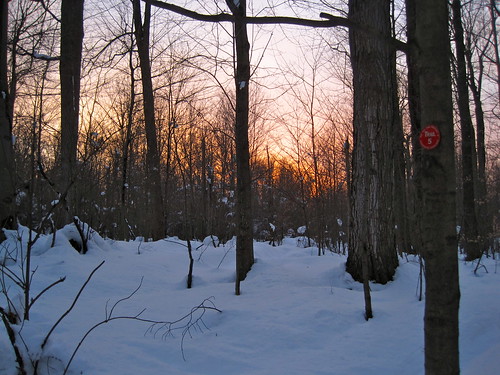 sunset sky snow ny forest outdoors us woods unitedstates nieve trails dec upstatenewyork centralnewyork newyorkstate neige latefall camillus nysdec lateautumn trail5 camillusuniquearea