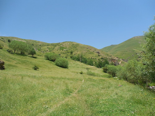 planina shar brod kosovo green