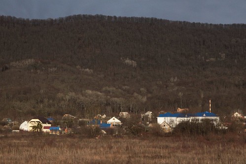 Blue roofs in the village of Безымянное (Bezymyannoye)
