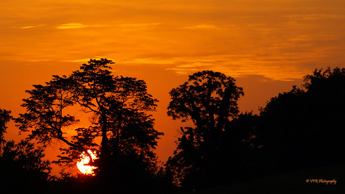 trees sunset sun tree silhouette rural landscape golden evening landscapes countryside spring twilight scenery tn sundown dusk farm tennessee country scenic silhouettes farmland southern thesouth agriculture setting silhouetted montgomerycounty middletennessee silhouetting gunnrd