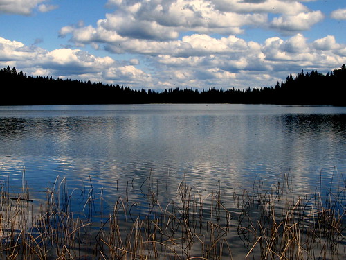 blue cloud lake reflection reed weeds wetland cariboo laclahache bearpawlake