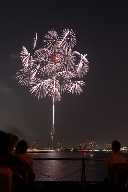 「昇朴付 芯入 群光千輪」 by 山内宏 東京湾大華火 2013 Tokyo Bay Grand Fireworks