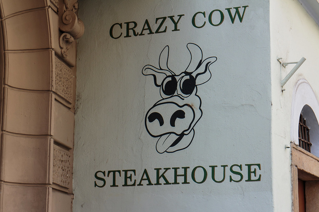 crazy cow steakhouse