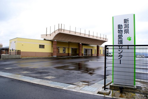 新潟県動物愛護センター