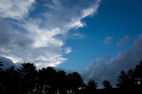 sky aug today 2013