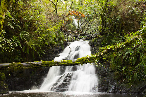 river río bosque forest waterfall cascada