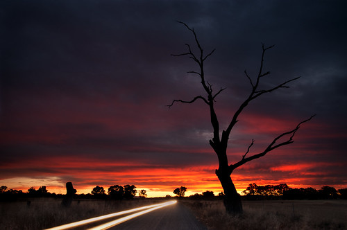 light sunset sky cloud colour tree trial silouhette
