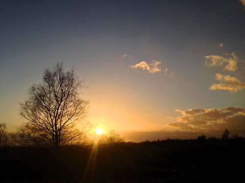 sunset england tramonto down hampshire national trust common headley ludshott