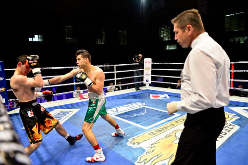 wsb boxing quarterfinals aiba seasonv worldseriesboxing azerbaijanbakufires mexicoguerreros