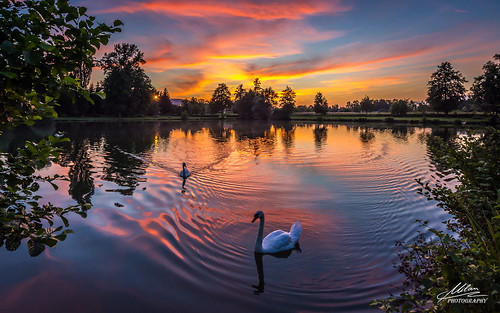perfect sunset lake swans bobovica samobor hrvatska croatia jezero zalazak nature priroda reflection colorful sky clouds europe nikon beautiful