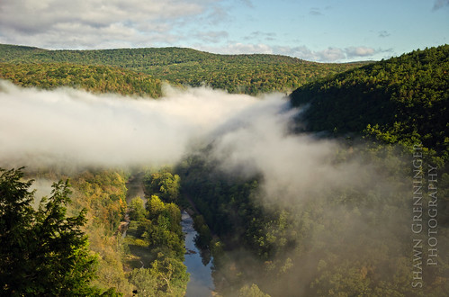 morning trees sky usa mist nature fog clouds creek forest outdoors woods pennsylvania grandcanyon canyon september pa gorge 2012 pinecreek pennsylvaniagrandcanyon pinecreekgorge grandcanyonofpennsylvania