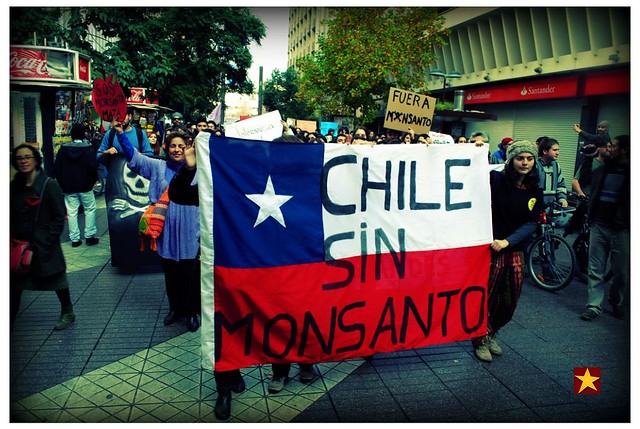 2013 05 25 Marcha contra transgenicos Monsanto 472 b