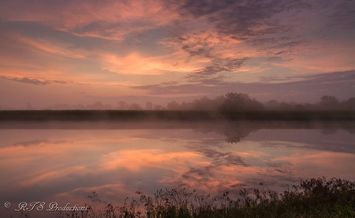 wood longexposure trees sky nature water leaves june fog clouds sunrise canon landscape outdoors morninglight spring pond dove overcast 7d orangesky cloudysky buschwildlife canon7d canon1585mmlens