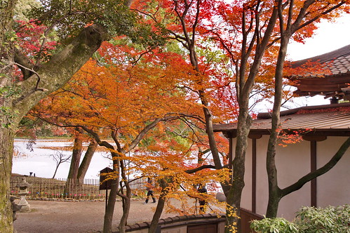【写真】2012 紅葉 : 大覚寺/2021-11-15/IMGP7494