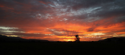 light sunset newzealand nature rural landscape nz foxglacier southisland westcoast southwestland rinathompson