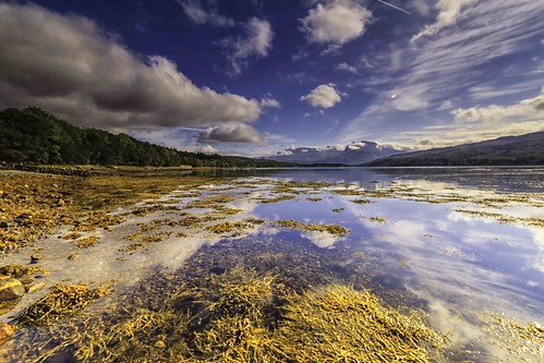 blue sky brown seaweed reflection green clouds forest canon landscape scotland lough sigma bennevis canon500d sigma1020 2013 lougheil paulmcdowellphotography