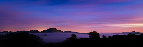 clouds dawn fog hawkesbay light mist newzealand sky sunrise tematapeak trees tukituki tukitukiriver caldwell ankh