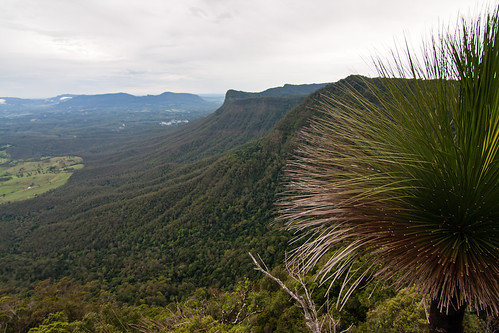 nature landscape photography australia places nsw geology aus volcanic genre continents interests borderrangesnationalpark canon40d borderrangesnp