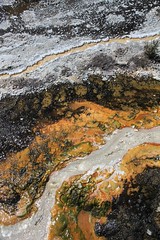Sulphurous slime, Orakei Korato thermal area