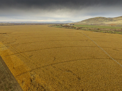 drone farm farming gregamaral kerner weiser idaho unitedstates corn