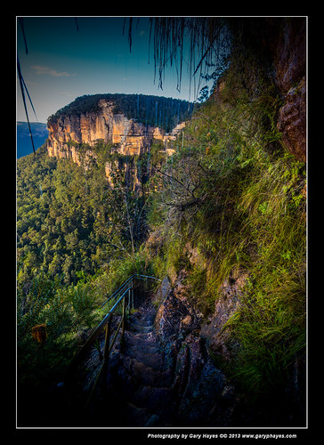 blue cliff mist mountains forest sunrise gum veil walk sydney australia bridal