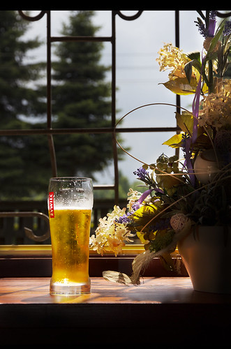 life bear flowers windows light summer stilllife food flower beer colors yellow canon is still colours view ii 1855mm efs lightandshadow dring f3556 canonefs1855mmf3556isii canoneos600d žywiec