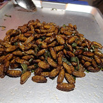 Fried Cricket - Jing Leed - with Non Mai