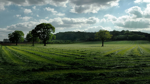 england cyclops explore herefordshire 093 chasinglight nikond300 nikonafs1424mmf28gedlens copyright©2013martynwilliam herefordsky