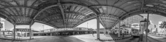 尖沙咀天星碼頭巴士總站 Bus Terminal, Star Ferry Pier, Tsim Sha Tsui / 香港人流建築360度全景 Hong Kong Human Logistics Architecture 360-degree Panorama / SML.20130808.6D.26177-SML.20130808.6D.26189-Pano.i12.360x96.BW