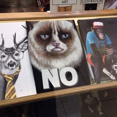 Grumpy Cat disapproves of your fashion choice