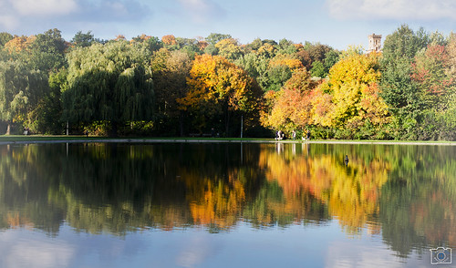 autumn reflection water wasser herbst leafs blätter halle speigelung peisnitz