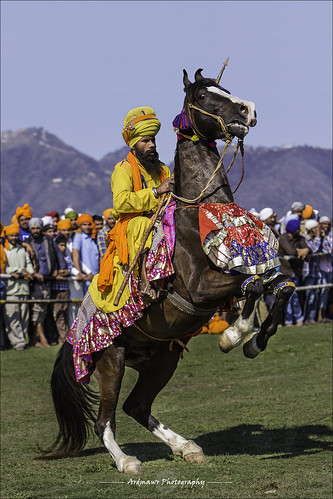 india sikh punjab horseman anandpursahib nihang gurugobindsingh holamohalla ਅਨੰਦਪੁਰਸਾਹਿਬ ਹੋਲਾਮਹੱਲਾ