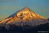 Patagonia Sur - Volcán Lanin