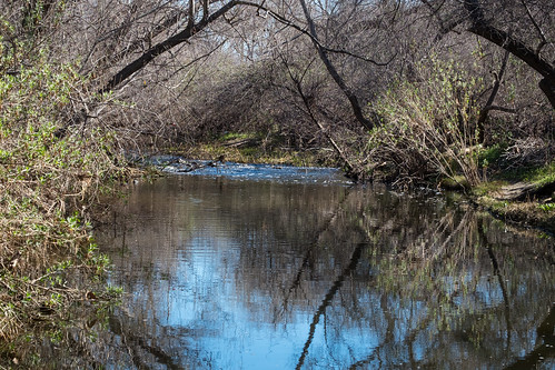 hike river 20160126missiontrailspark water oakcanyontrail category reflection panoramio notripod photoouting sandiego 92071 unitedstates okcnyn place photographyprocedure abbreviationforplace geological trail artwork event