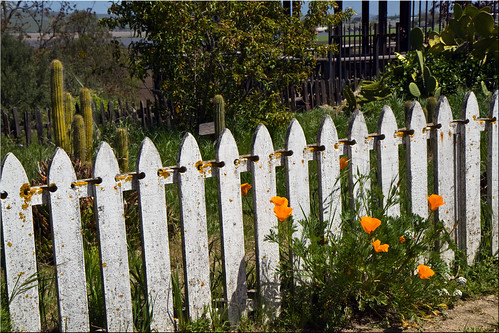 park ca cactus orange white flower cacti fence san juan state poppy 100views mission historical bautista picket hff 1403