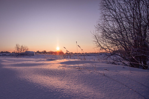 lighting winter sunset snow sunrise dawn day russia north taiga sura село arkhangelsk область 2013 край сура архангельская пинежский