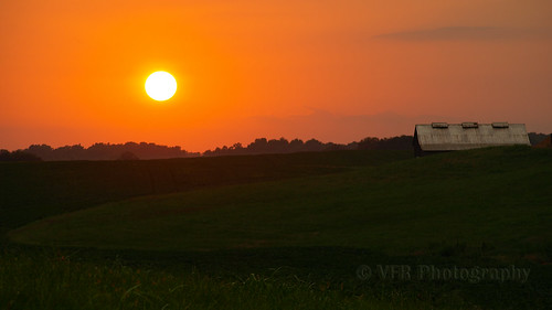sunset field rural golden tn sundown farm tennessee farming sunsets bean southern fields thesouth agriculture agricultural tobaccobarn soybeans settingsun greatnature volunteerstate robertsoncounty darkfired sadlersville smokecured nearadams nearguthrie smokecuring smokekcured
