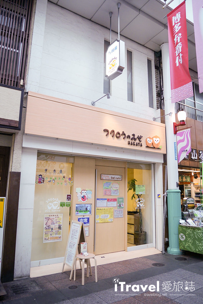 福冈猫头鹰咖啡店 Owl Family博德店 (2)