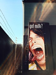 Got Milk Campaign