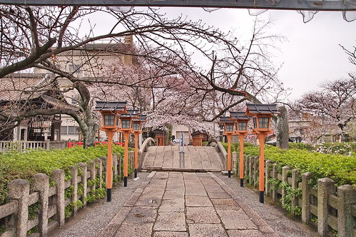 【写真】2013 桜 : 六孫王神社/2020-04-21/IMGP8936