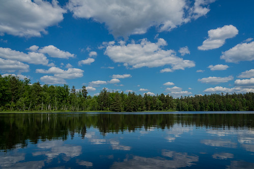 blue trees sky white lake reflection green water clouds forest day waves cloudy sweden blekingecounty